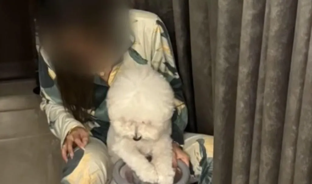 林女男友抱著女方愛犬疑似威脅女方。(圖/中天新聞)