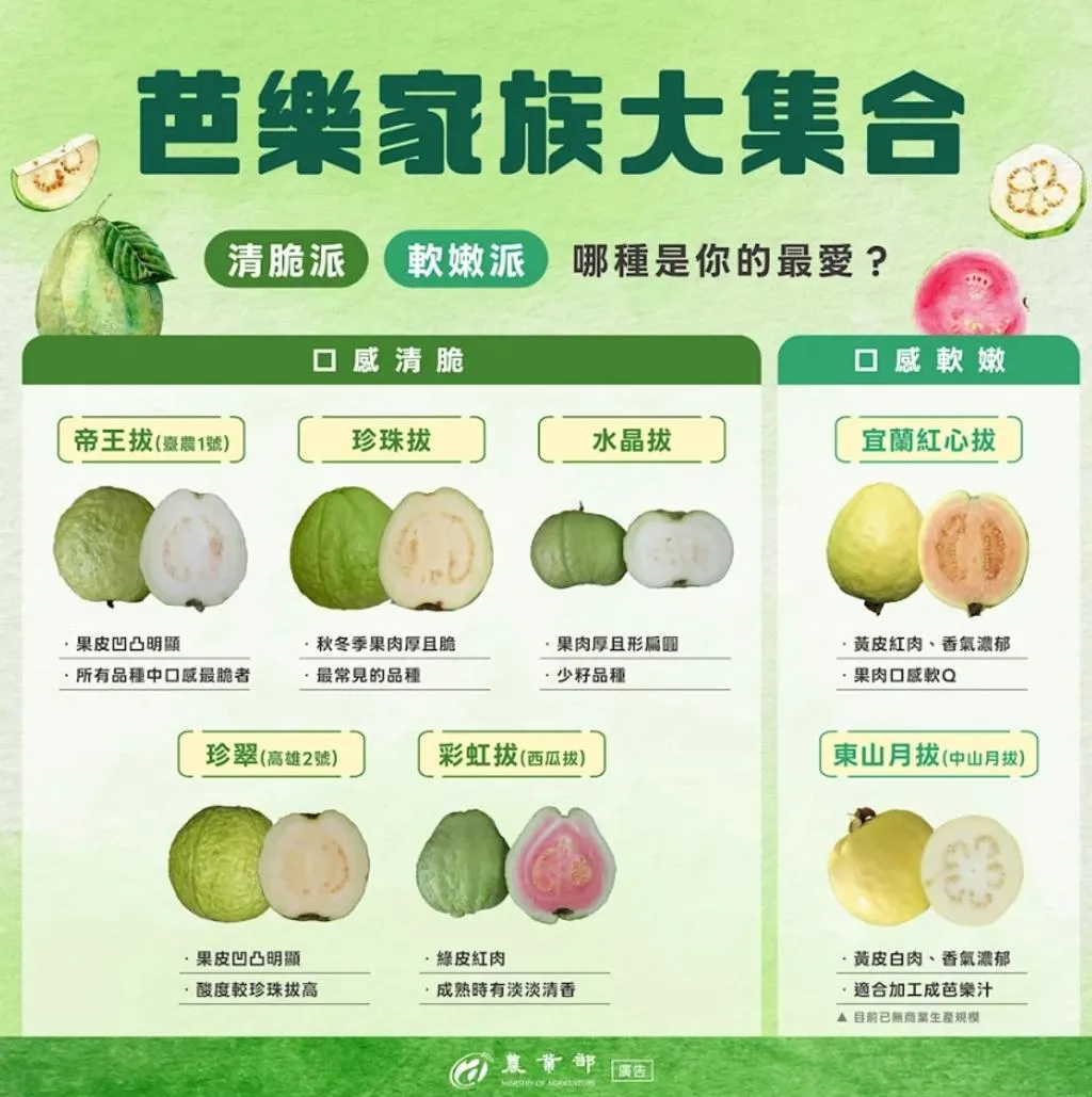 農業部分享芭樂各品種特色。(圖/翻攝自農業部臉書)