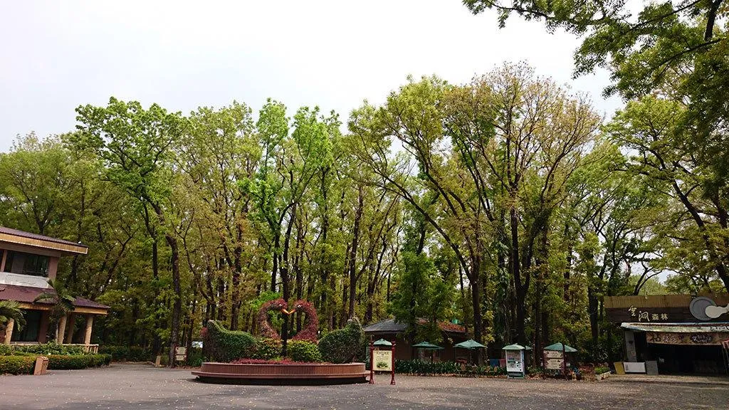 屏東潮州8大森林樂園。（圖／翻攝自交通部觀光資訊網）