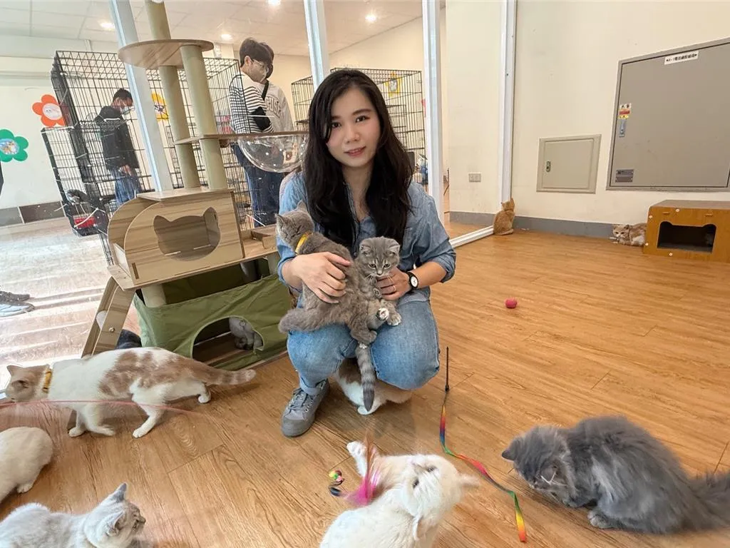 本次活動特別限定嘉義縣民參加。（圖／嘉義縣政府）