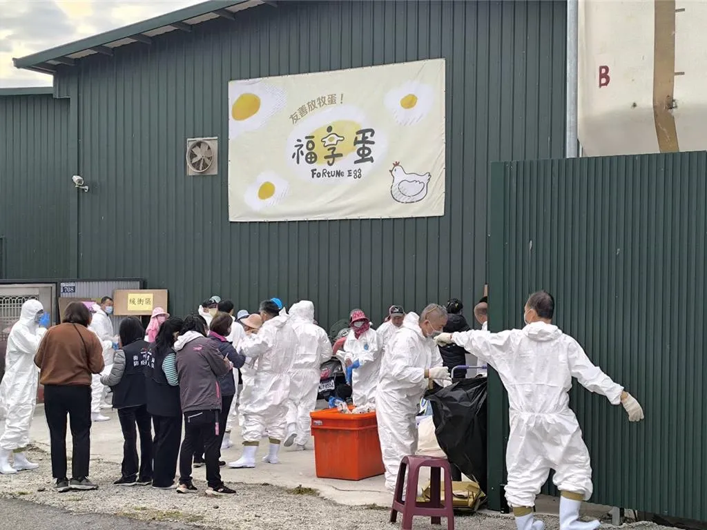 工作人員穿著防護衣進場展開撲殺作業。(圖/中時 李京昇攝)