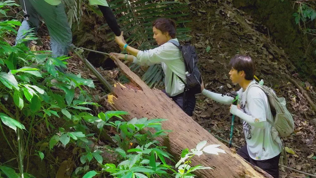 台韓合作實境節目《細細山路私密達》走訪台灣客家古道「樟之細路」,韓星南優賢(右)、金荷娜(左)等人一同挑戰楔隘古道,過程中南優賢適時幫扶金荷娜行進。(圖/客家電視台提供)