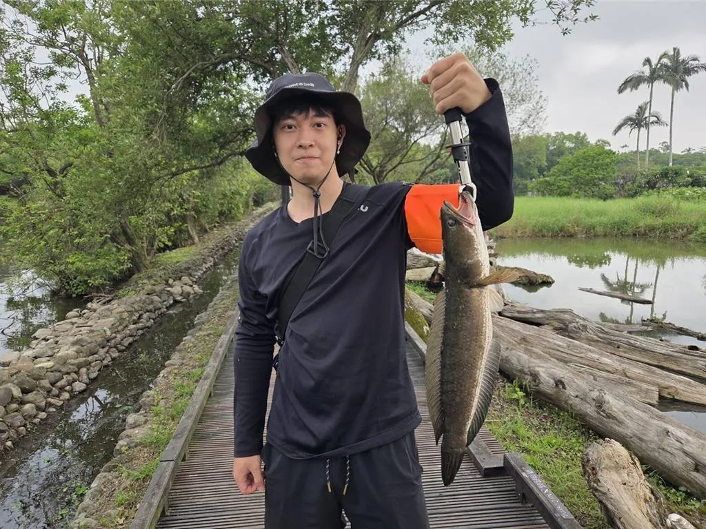 釣魚好手幫忙剷除生態危害。（圖／林業保育署宜蘭分署提供）