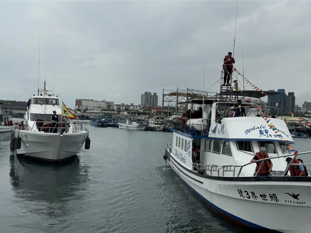 海洋委員會海洋保育署18日在花蓮漁港舉行「友善賞鯨啟航」活動，推廣不餵食、不追逐等原則，減少對鯨豚生活的打擾。（圖／花蓮縣政府提供）