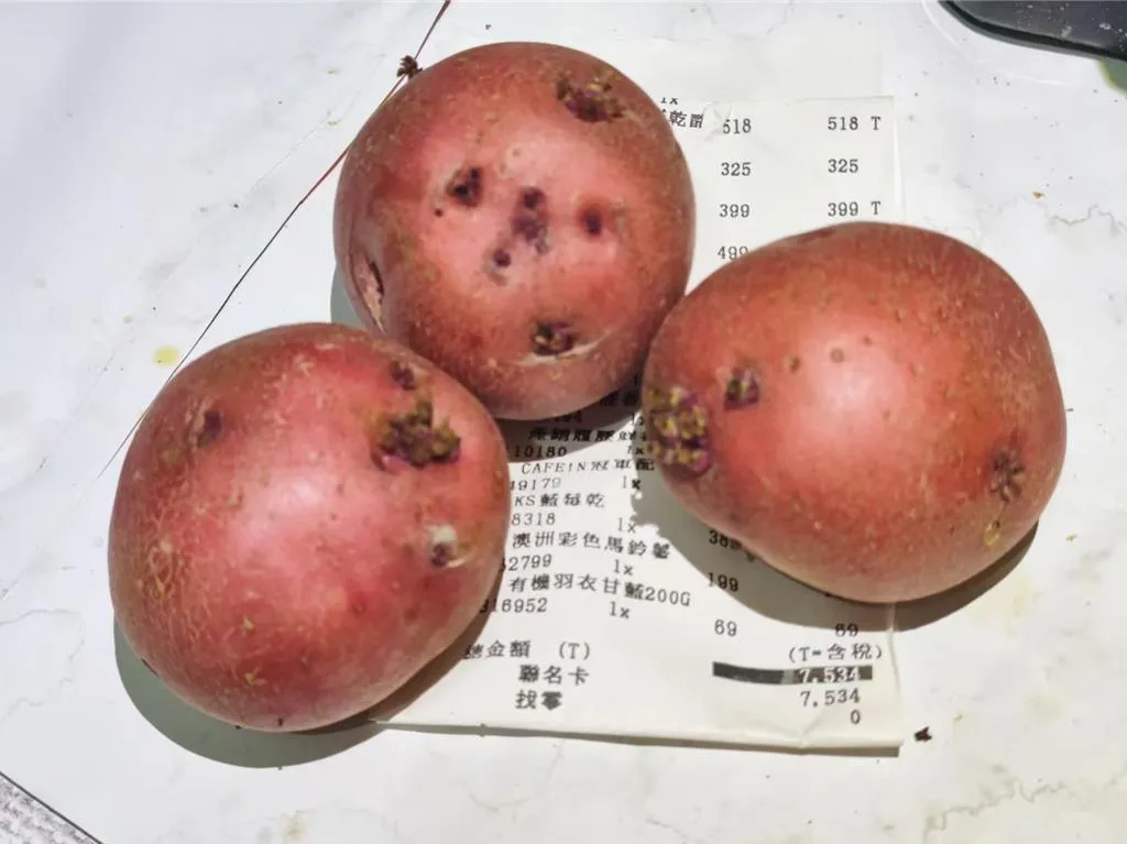 好市多彩色馬鈴薯遭指發芽。（報系資料照／民眾提供）