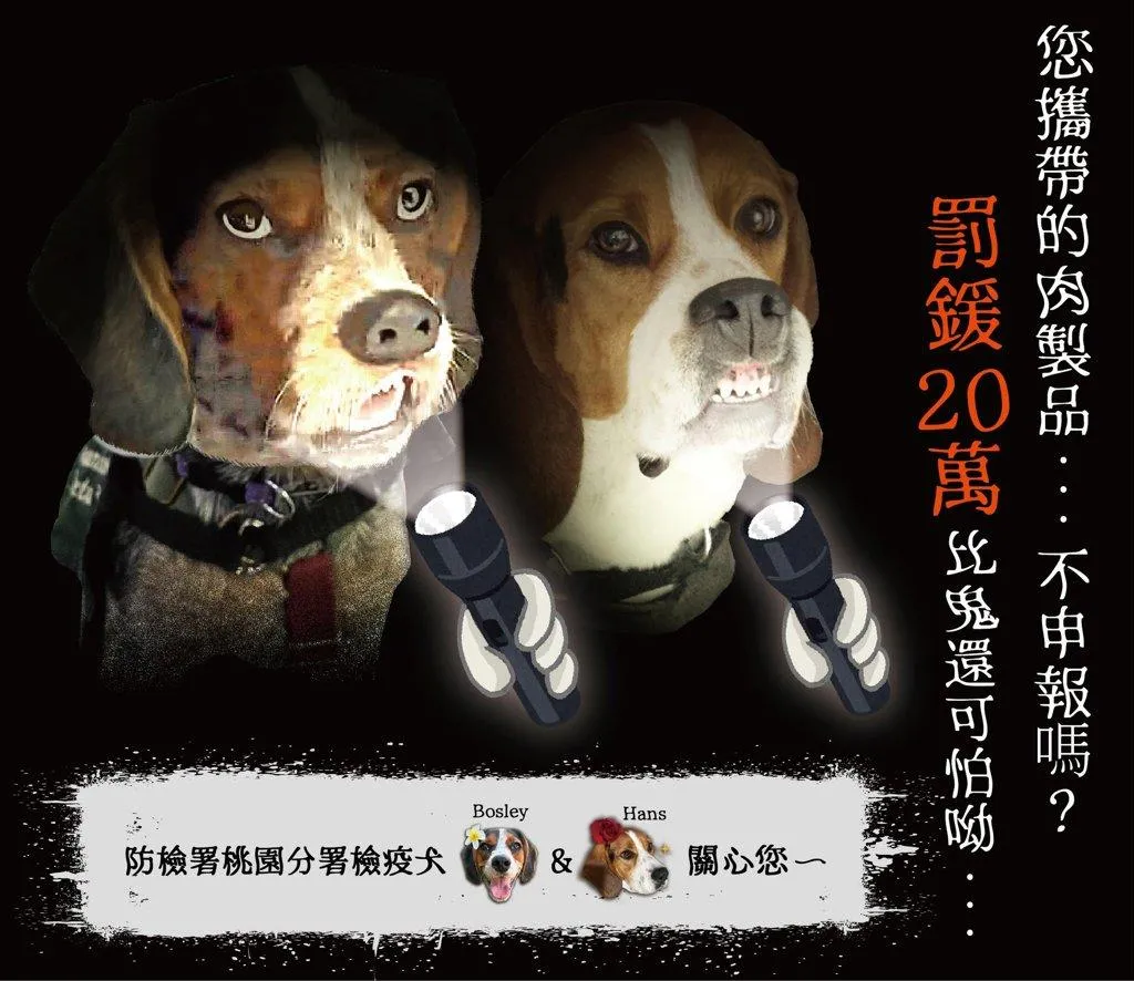 台灣機場檢疫犬海報設計引發討論。（圖／翻攝自動植物防疫檢疫署桃園分署臉書）