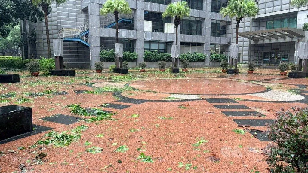 颱風巴威為台灣帶來風雨，新北市民廣場11日到處可見殘枝落葉。市府環保局表示，12日將加班收運垃圾，視風雨情形並以人員安全無虞為前提，提早動員清掃街道與髒亂點。（圖／中央社記者黃旭昇攝）
