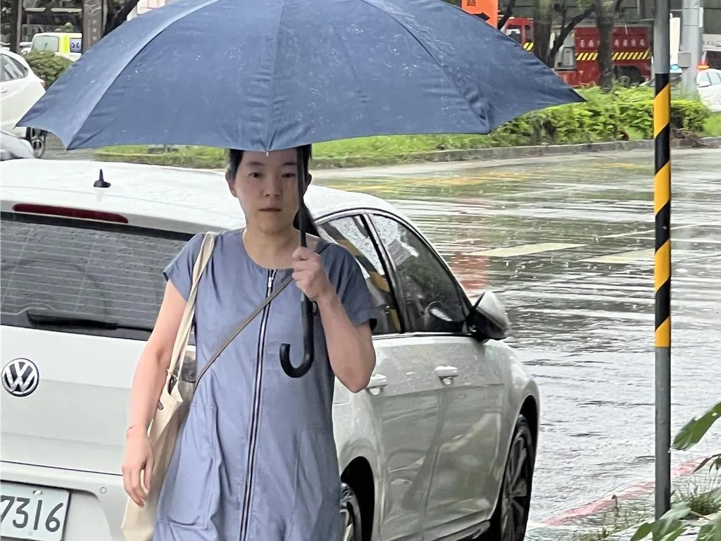 陳幸妤受訪。（圖/資料照）