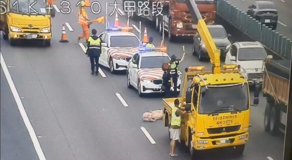 國道3號台中外埔路段24日下午發生豬隻掉落車道事故，致後方車流回堵約2公里，警方獲報前往協助排除，並通知駕駛人到案說明，依法舉發。（圖／民眾提供）