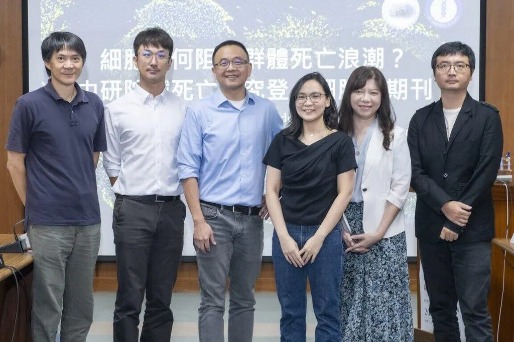 中研院研究團隊發現，細胞群體自然形成的密度與排列方式，是決定死亡波傳播的重要因素，研究成果登上「細胞」期刊。(圖/中央社)