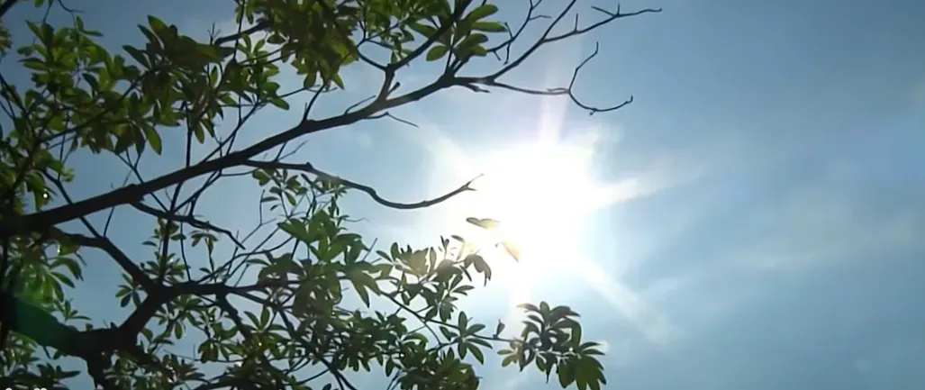 今天各地大多為多雲到晴的好天氣。（示意圖／中天新聞）