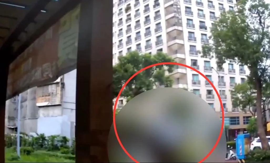 婦人莫名遭人丟擲物品頭部受傷。（圖／翻攝畫面）