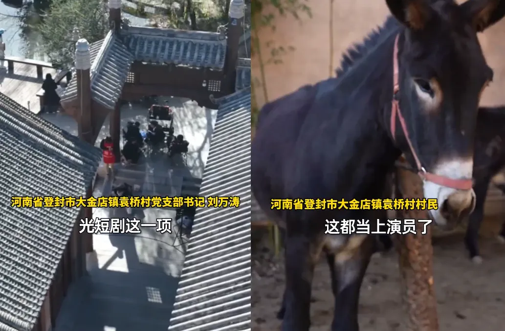 河南一個古村搖身一變成短劇熱門取景地,連動物都成臨演。(圖/翻攝微博@頂端新聞)