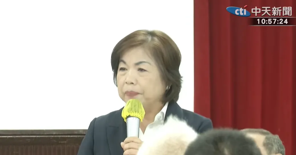 楊瓊瓔。（圖／中天新聞）