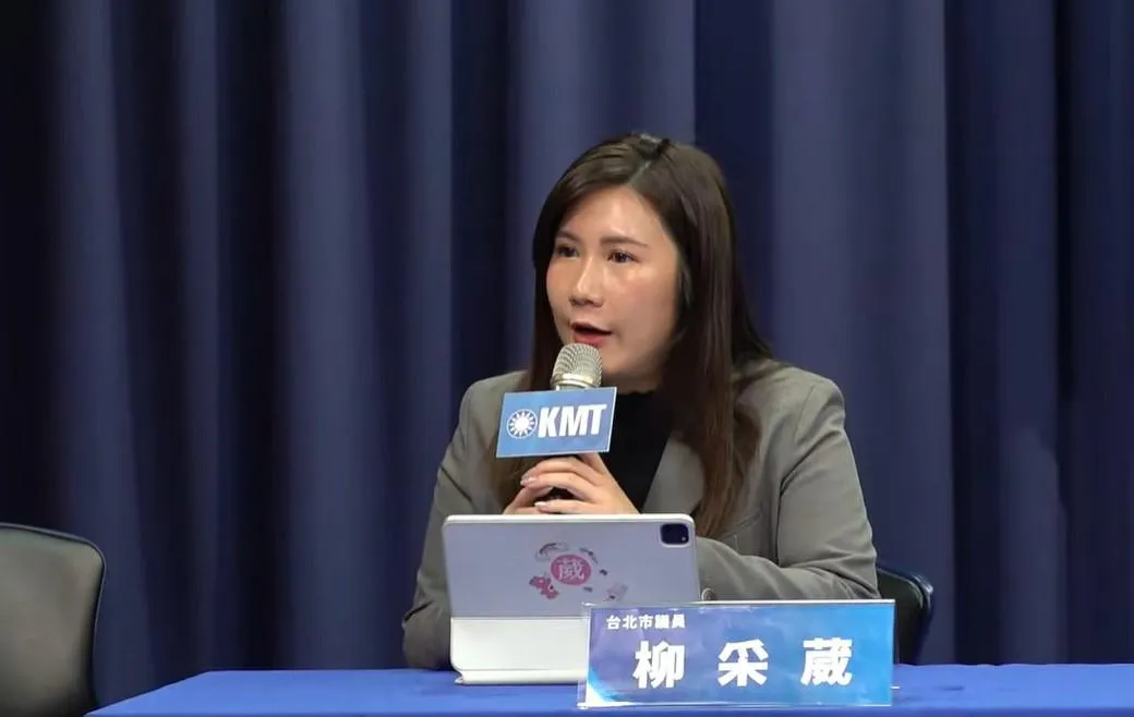 柳采葳說，民進黨這種行為已超越傷天害理的程度。（圖／國民黨提供）
