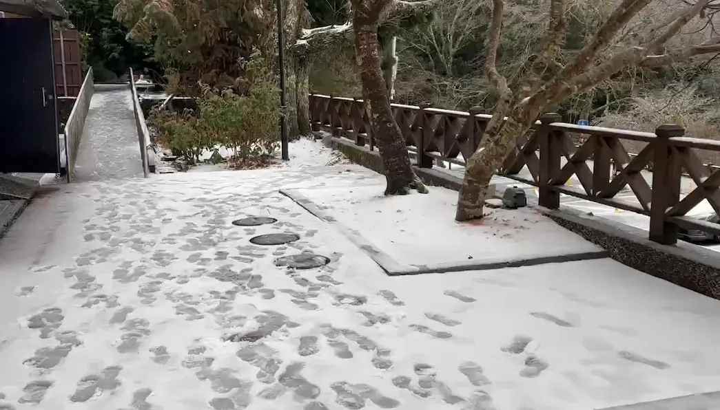 雪景。(圖/翻攝畫面)