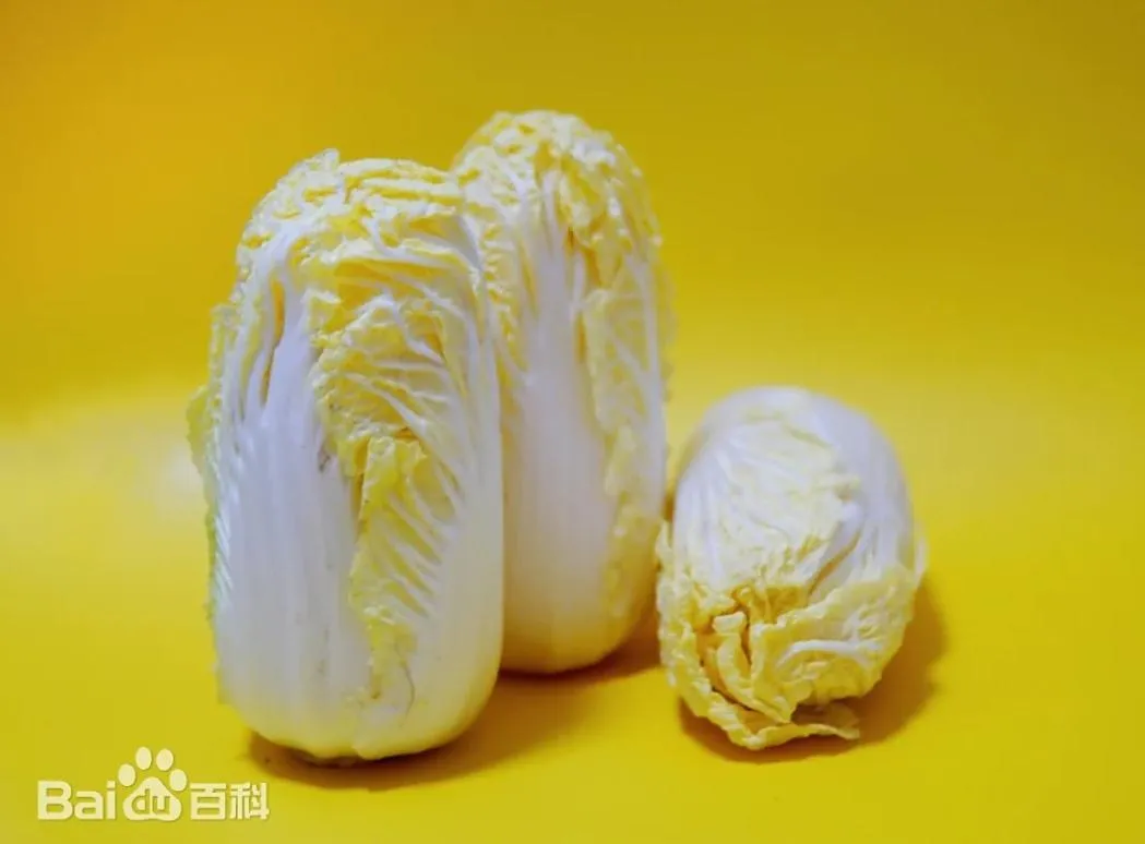 大陸一對夫妻網購娃娃菜食用後竟中毒。（圖／翻攝百度百科）