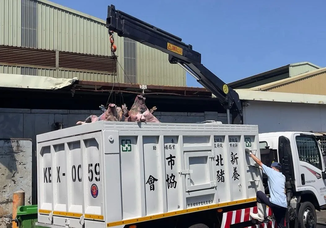 確認車廂內載運斃死豬數量。（圖／新北市政府）