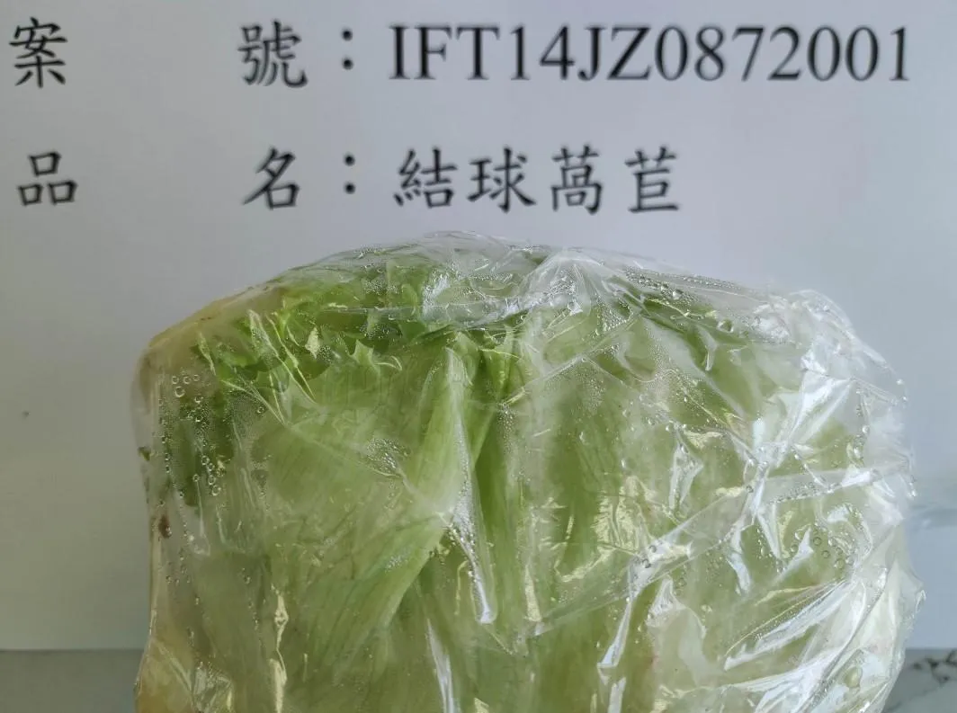 全球合作開發股份有限公司從馬來西亞輸入的結球萵苣,檢出殘留農藥芬普尼0.003ppm。(圖/食藥署)