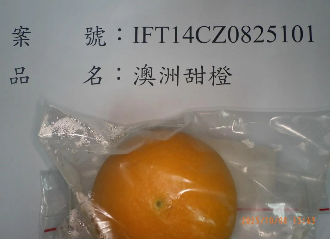 有1批由輸入業者「好市多股份有限公司」報驗的澳大利亞甜橙，檢出殘留農藥「勃激素A3」0.17ppm。（圖／食藥署提供）&nbsp;