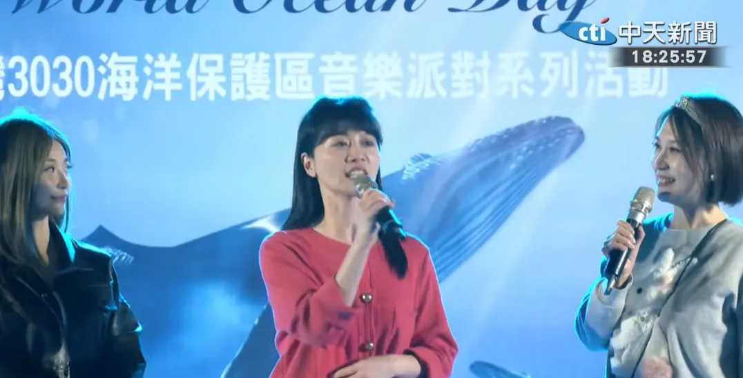高嘉瑜。（圖／中天新聞）