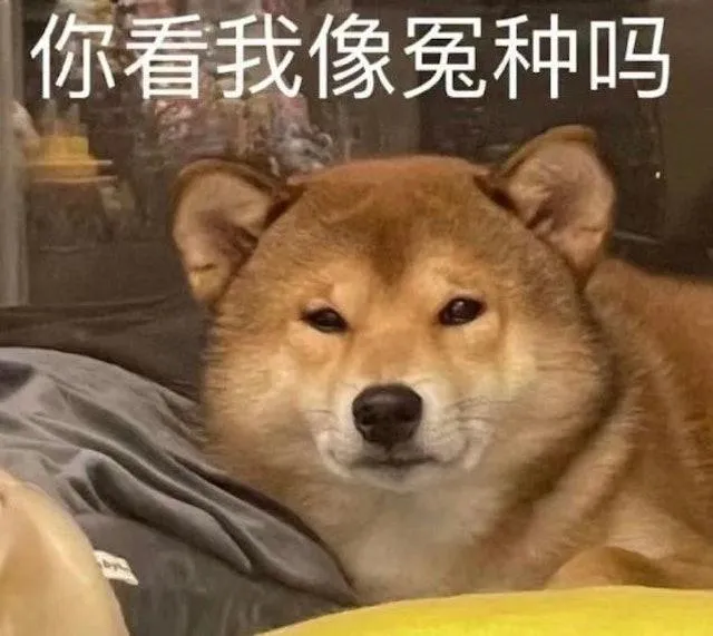 流行語5.jpg