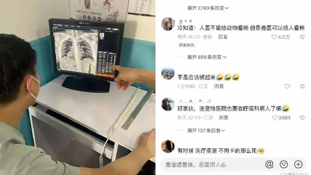 照肺2.jpg