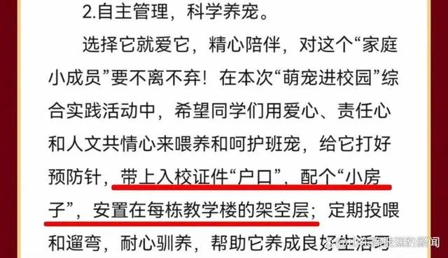 班寵1.jpg