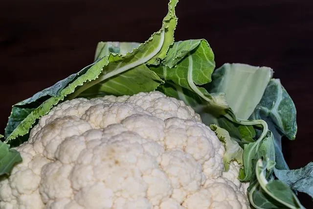 花椰菜若水煮5分鐘,裡頭的抗癌成分「含硫配醣體」流失了20~30%,且水煮時間越久流失越多,改用蒸煮的方式營養則沒有流失太多。