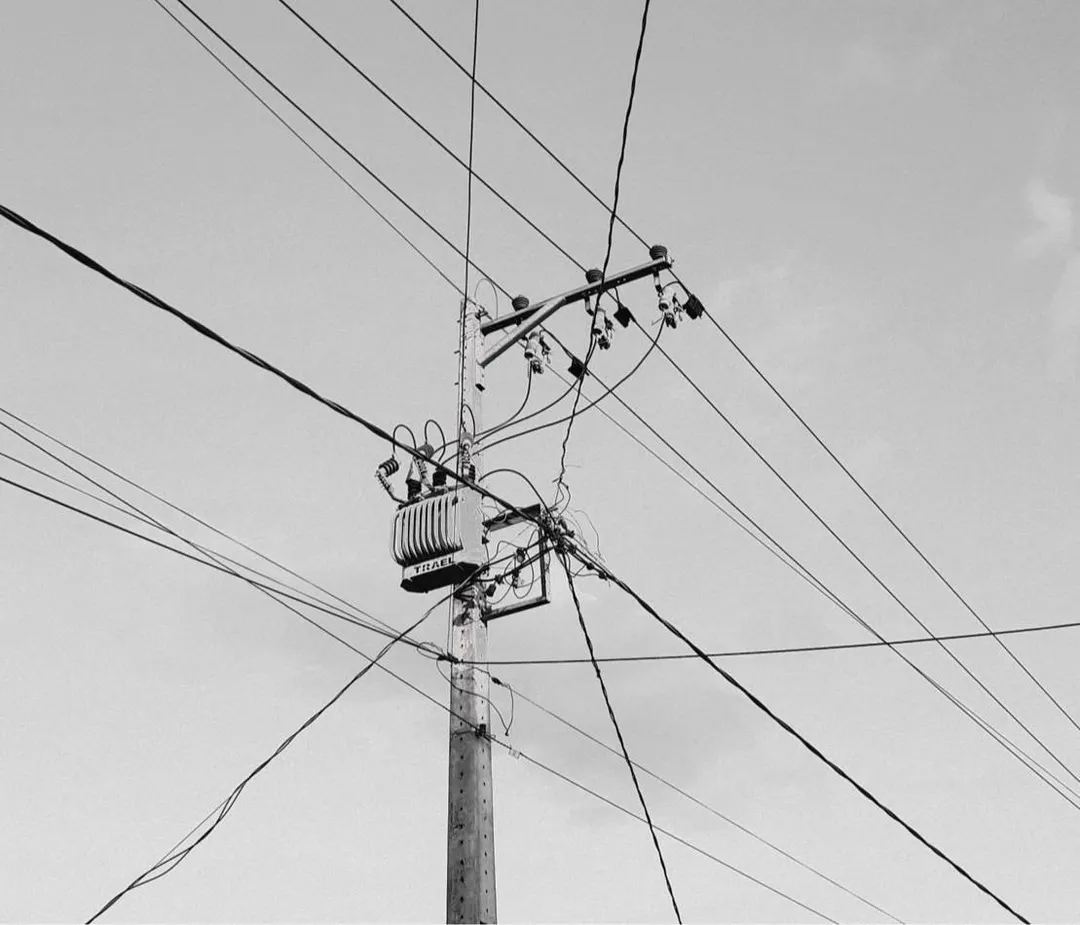 台電4日指出,因午後強風大雨吹落新社高中旁大王椰子樹樹葉,碰觸到供應新社高中電力的台電開關、一度導致線路停電。校方表示,當時剛好是最後一堂輔導課,老師引導學生摸黑收拾東西,校內專車則依既定時間發車,5時45分恢復供電。(示意圖/pexels)