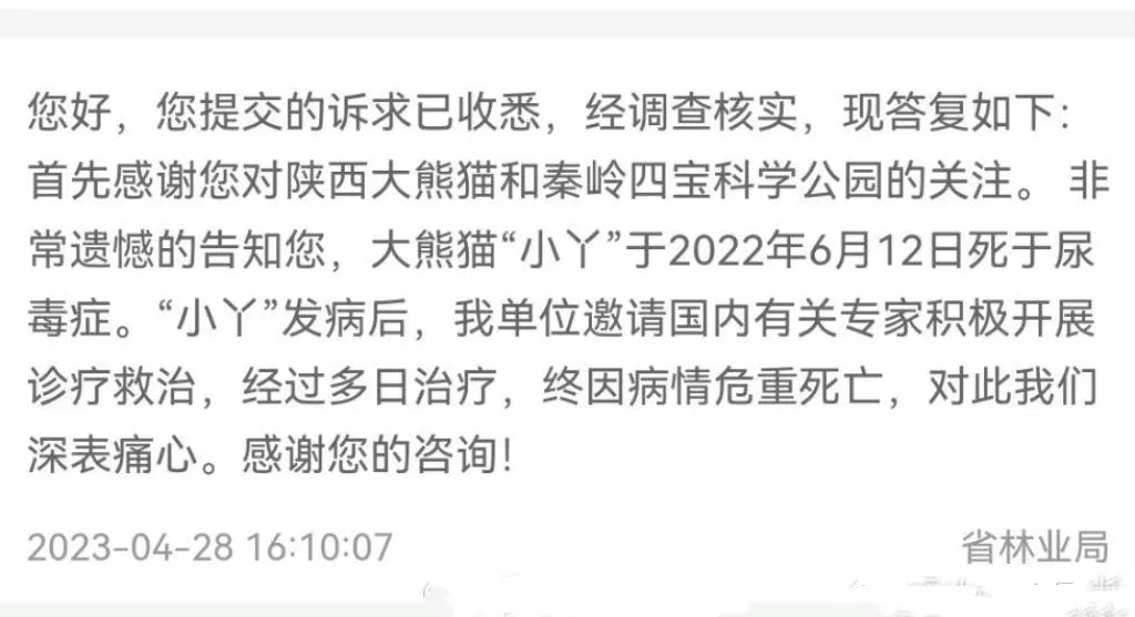 小丫2.jpg