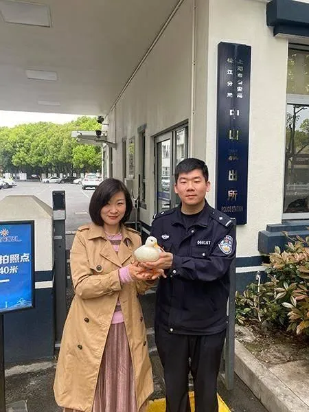 鴨3.jpeg