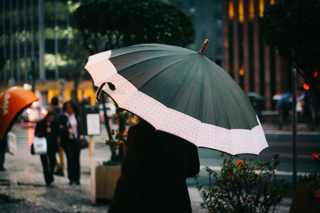 雨水節氣降雨多，出門最好帶把傘。（示意圖／取自pexels）