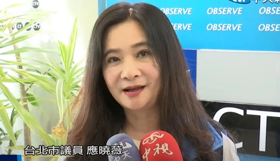 應曉薇。（圖／中天新聞）