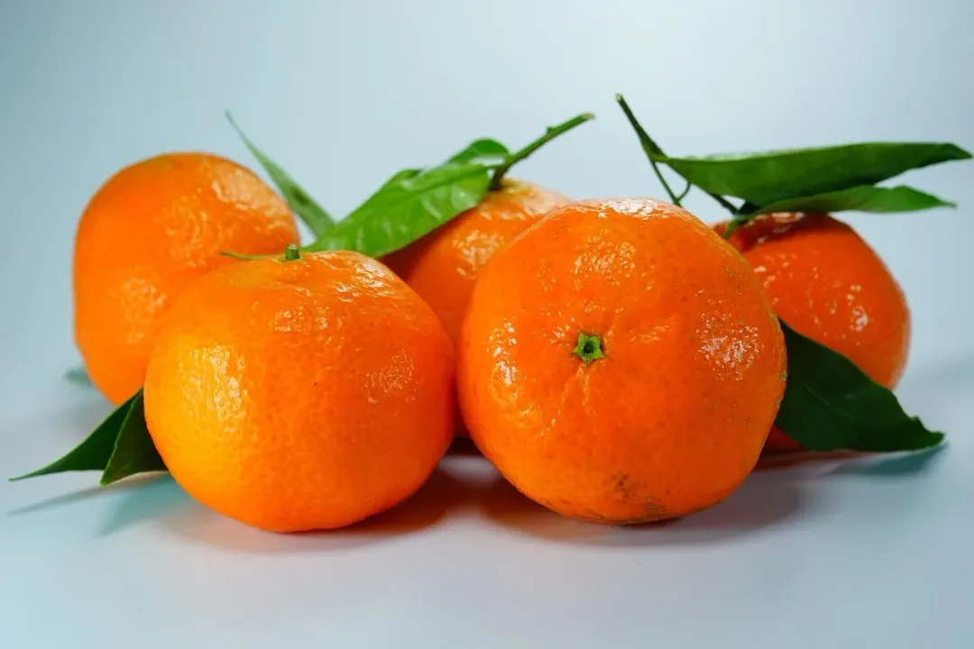食用「柑橘類」水果也是1項能夠緩解噁心感的好方法。（示意圖／資料庫）
