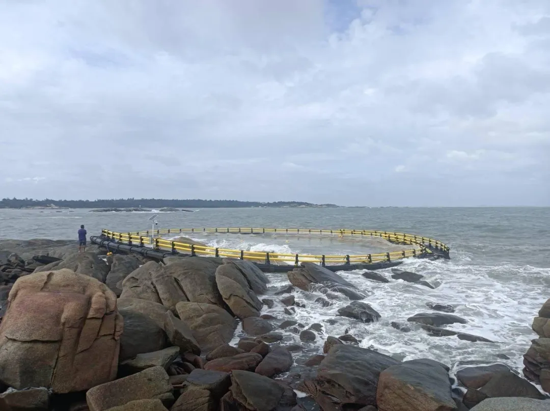 海巡署金馬澎分署第九岸巡隊發現大陸近海養殖箱網漂流到金門。(圖/海巡署提供)