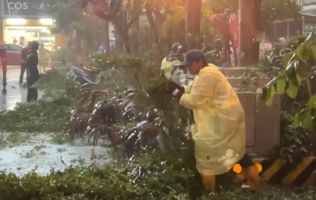 彰化市公所派員冒雨修剪樹木，避免路樹倒下傷及路人。（圖／中天新聞）