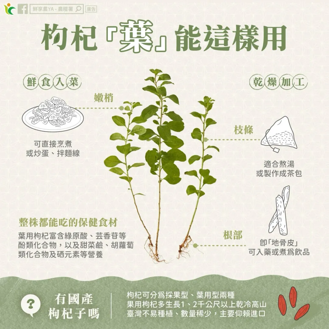圖／鮮享農YA - 農糧署