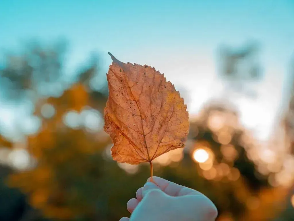 秋冬是憂鬱症好發的時節,容易因季節替換、日照時間縮短,而影響心情。(示意圖/資料庫)