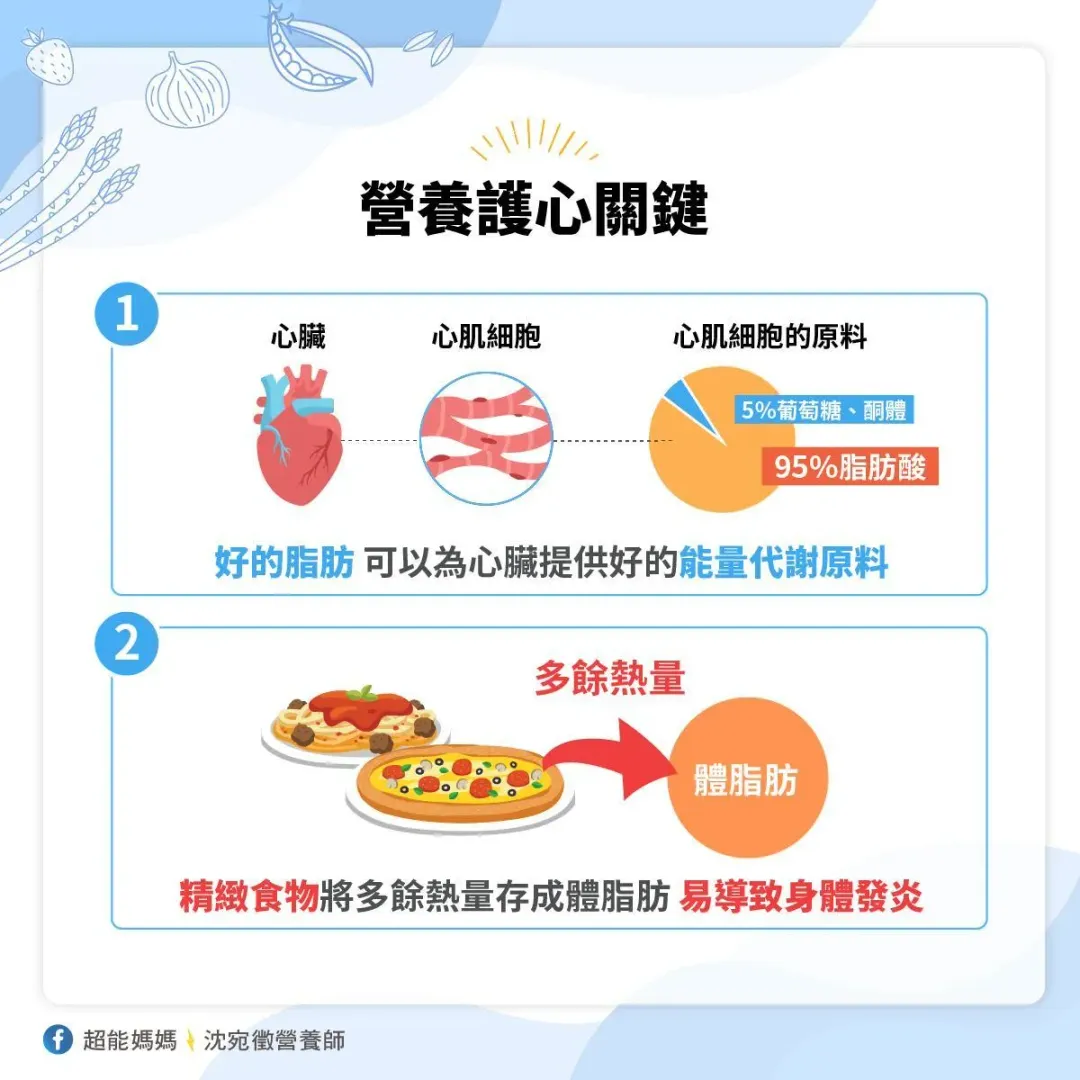 圖／沈宛徵營養師