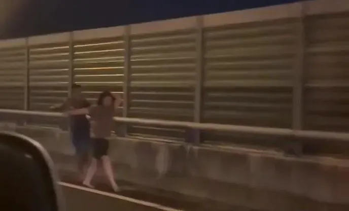 男子在快速道路上追打妻子。(圖/翻攝畫面)