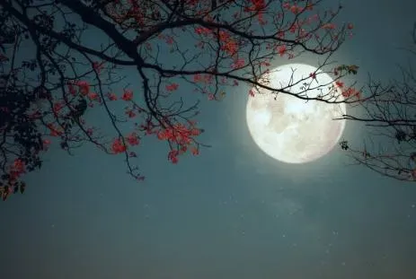 中秋節是預示來年運勢好壞的關鍵節點,當天找准方位出行、賞月、拜神可以開運。(示意圖/翻攝自百度)