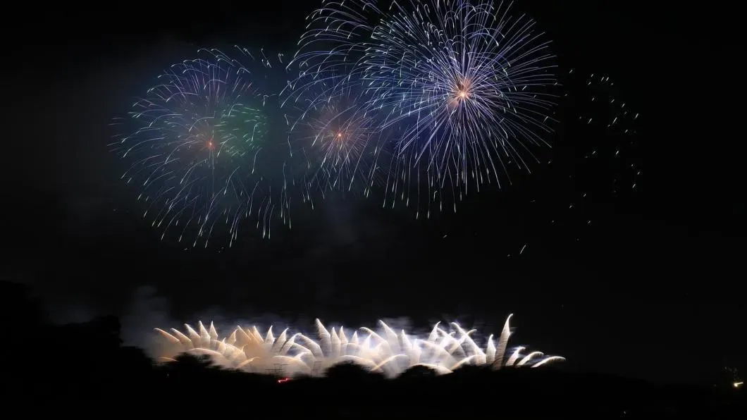 台中國慶煙火10日提早20分鐘施放，讓許多民眾傻眼，鄭照新11日代表台中市府道歉。（圖／翻攝台中市府臉書）