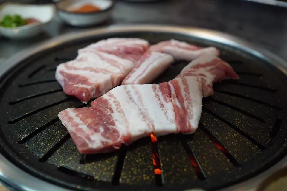 吃太多肉類與加工肉品致癌機率高。(示意圖/取自pixabay)