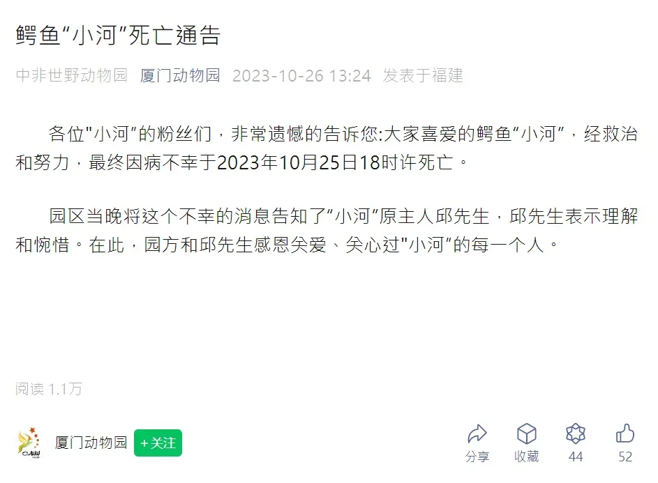 廈門「中非世野野生動物園」在微博官方帳號公布「小河」的死訊。(圖/翻攝自微信公眾號@廈門動物園)