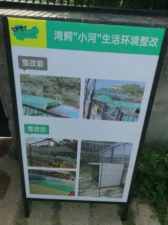 收養灣鱷「小河」的動物園曾對外表示已改善小河的居住環境。(圖/翻攝自海基會官網)