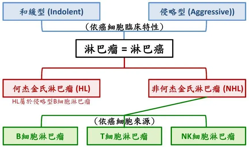 淋巴瘤極簡易分類。（圖／北榮提供）