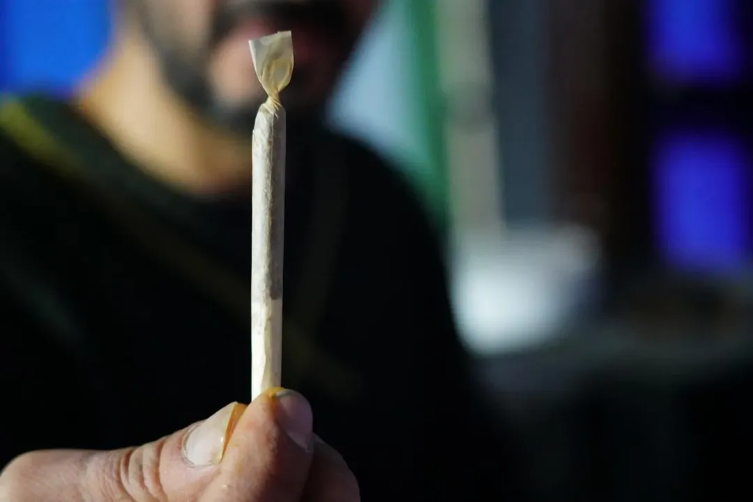 大麻具有中樞神經的迷幻作用，長期吸食下來對心理上非常不健康。（示意圖／資料庫）