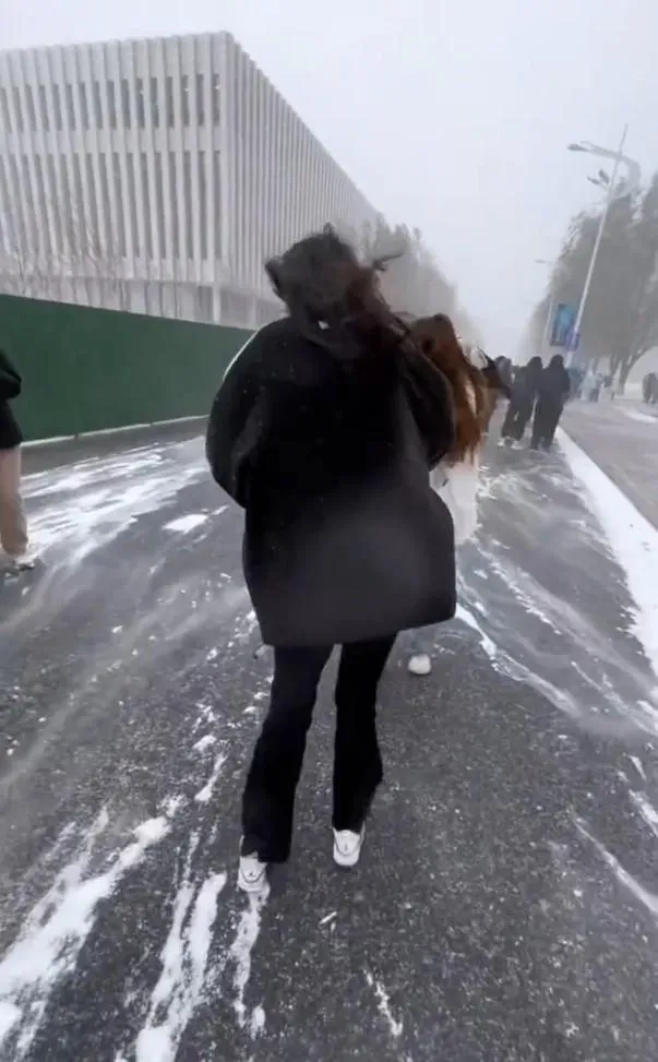 哈爾濱暴雪驚人，學生們如月球漫步，走一步退三步，返家路艱辛。（圖／星島網）