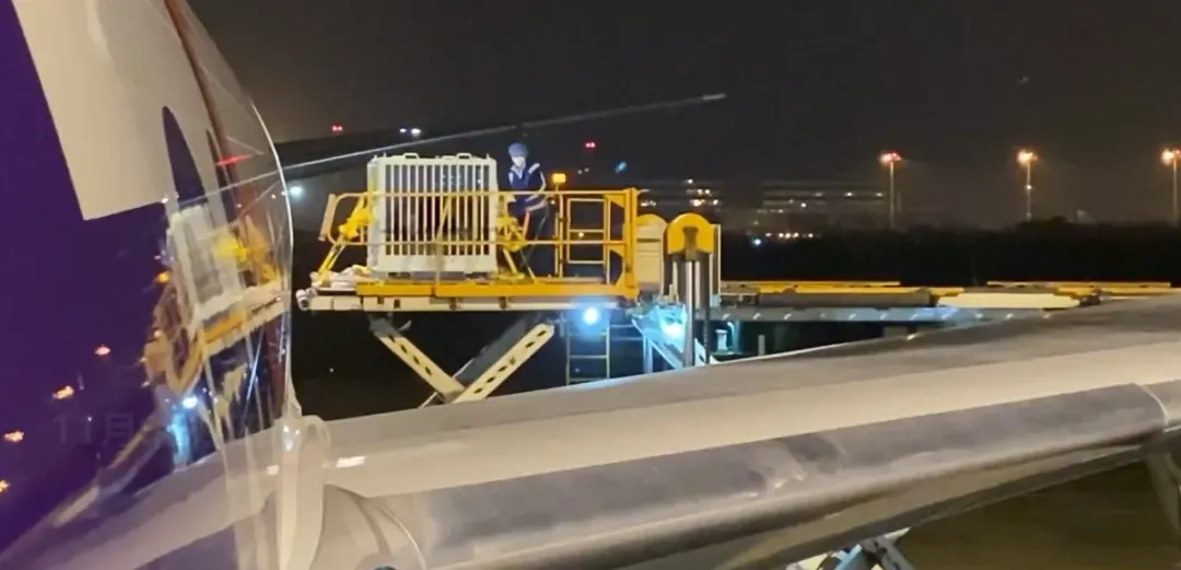 旅美貓熊美香一家三口9日晚11時許抵四川成都。(圖/翻攝微博)